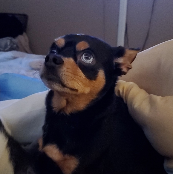 Let's Go 2025🥳 - Picture 7 of 7